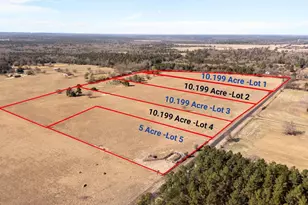 Lot 3 County Road 3689, Big Sandy, TX 75755 - Photo 1