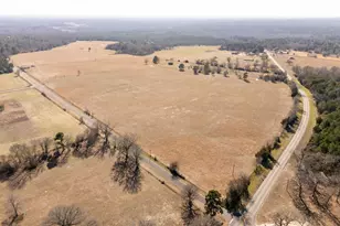 Lot 4 County Road 3689, Big Sandy, TX 75755 - Photo 1