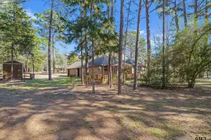 371 Meadow View Path, Holly Lake Ranch, TX 75765 - Photo 10