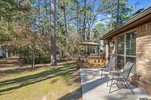 371 Meadow View Path, Holly Lake Ranch, TX 75765 - Photo 8
