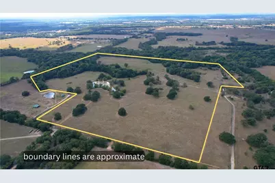 Lot 4 Cr 1155, Brashear, TX 75420 - Photo 4