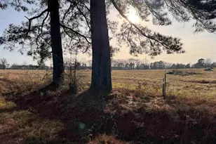 Tbd Watson Rd, Kilgore, TX 75662 - Photo 1