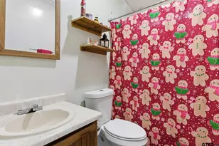 8261 County Rd 381, Tyler, TX 75708 - Photo 18