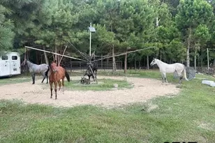 8261 County Rd 381, Tyler, TX 75708 - Photo 28