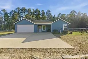 8261 County Rd 381, Tyler, TX 75708 - Photo 2