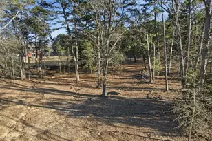 8261 County Rd 381, Tyler, TX 75708 - Photo 34