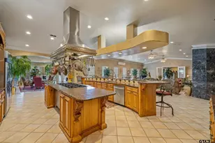 17008 FM 344, Flint, TX 75762 - Photo 16