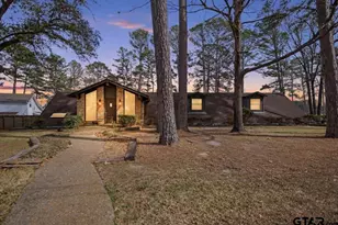 16835 Cardinal Ln, Troup, TX 75789 - Photo 1