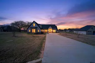 20398 County Rd 173, Bullard, TX 75757 - Photo 1