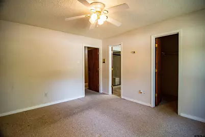 115 Raton Pass, Holly Lake Ranch, TX 75765 - Photo 16