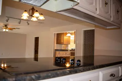 115 Raton Pass, Holly Lake Ranch, TX 75765 - Photo 12