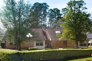 115 Raton Pass, Holly Lake Ranch, TX 75765 - Photo 2