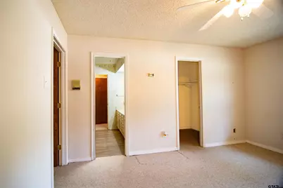 115 Raton Pass, Holly Lake Ranch, TX 75765 - Photo 18