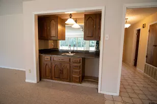 115 Raton Pass, Holly Lake Ranch, TX 75765 - Photo 14