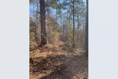 Tbd Cr 2151 (Tract 1), Troup, TX 75789 - Photo 6