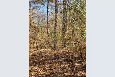 Tbd Cr 2151 (Tract 7A), Troup, TX 75789 - Photo 6