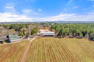 21883 Syrah, Tyler, TX 75703 - Photo 46