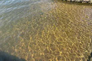 157 Lago Vista, Jacksonville, TX 75766 - Photo 48