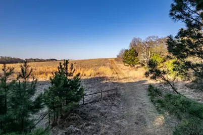 6751 Cr 4710, LaRue, TX 75770 - Photo 46