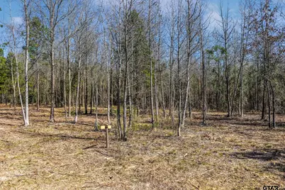 1462 Mole Road, Winnsboro, TX 75494 - Photo 26