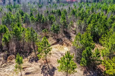 1462 Mole Road, Winnsboro, TX 75494 - Photo 14