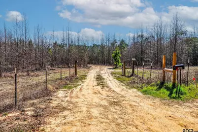 1462 Mole Road, Winnsboro, TX 75494 - Photo 40
