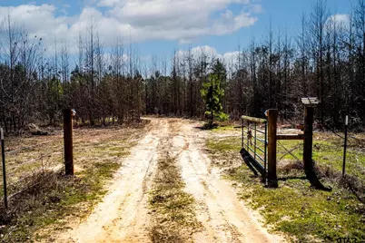 1462 Mole Road, Winnsboro, TX 75494 - Photo 42