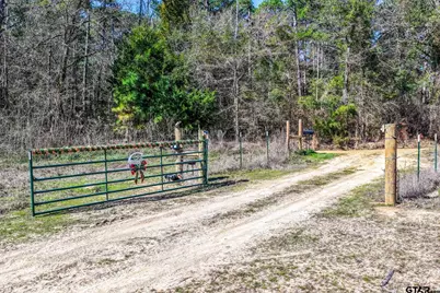 1462 Mole Road, Winnsboro, TX 75494 - Photo 30