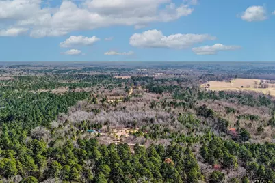 1462 Mole Road, Winnsboro, TX 75494 - Photo 4