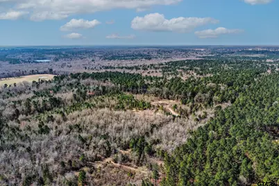 1462 Mole Road, Winnsboro, TX 75494 - Photo 10