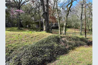 17035 Deer Run Rd, Flint, TX 75762 - Photo 28