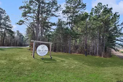 153 Cr 319 W, Tyler, TX 75706 - Photo 2