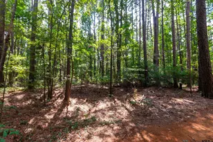 153 Cr 319 W, Tyler, TX 75706 - Photo 1
