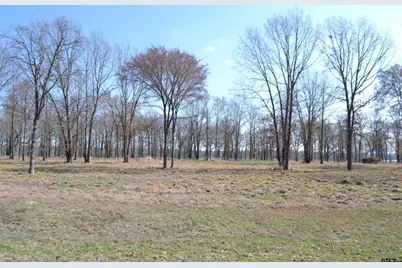 Lot 13 Angler Shores Drive, Yantis, TX 75497 - Photo 6