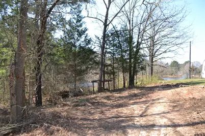Lot 128, 144 County Road 2123, Quitman, TX 75783 - Photo 12