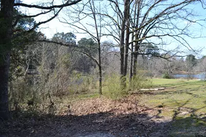 Lot 128, 144 County Road 2123, Quitman, TX 75783 - Photo 10