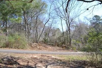 Lot 128, 144 County Road 2123, Quitman, TX 75783 - Photo 4