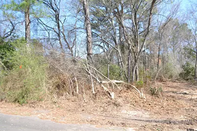 Lot 128, 144 County Road 2123, Quitman, TX 75783 - Photo 14