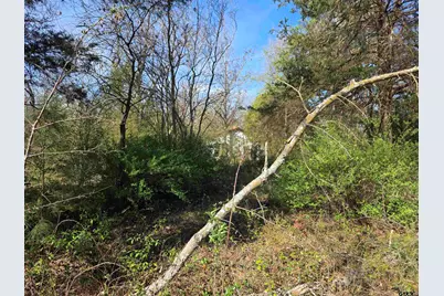 Tbd Cr 2312, Pittsburg, TX 75686 - Photo 4