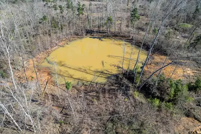 0 Back Forty, Whitehouse, TX 75791 - Photo 10