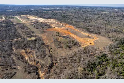 0 Back Forty, Whitehouse, TX 75791 - Photo 4