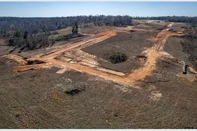 0 Back Forty, Whitehouse, TX 75791 - Photo 6