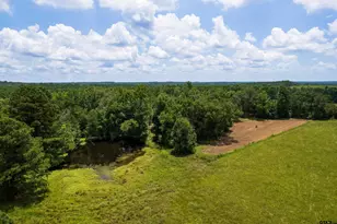 6888 Farm To Market 2888, Naples, TX 75568 - Photo 42