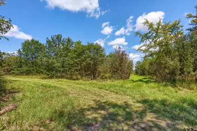 12960 County Road 4006, Mabank, TX 75147 - Photo 14