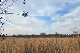 Tbd Cr 4836 0 50, Winnsboro, TX 75494 - Photo 1