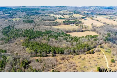 Tbd Cr 3986, Winnsboro, TX 75494 - Photo 10