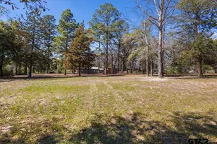 9629 Matise St, Tyler, TX 75706 - Photo 48