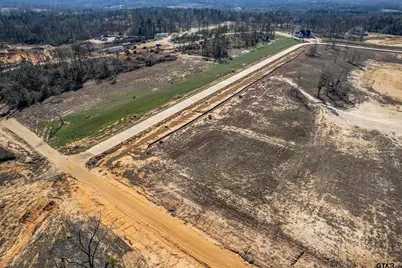 11133 Back Forty, Whitehouse, TX 75791 - Photo 6