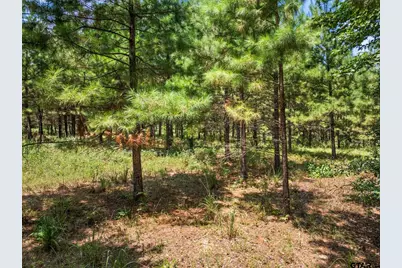 Tbd Fm 1519, Leesburg, TX 75451 - Photo 12