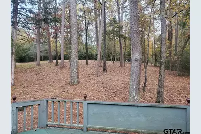 231 Lamplight Path, Holly Lake Ranch, TX 75765 - Photo 46